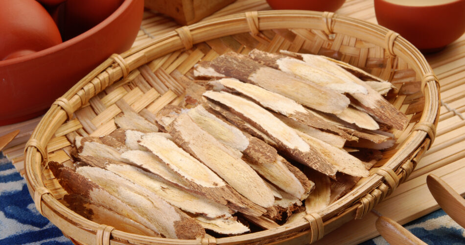 Traditional Chinese Medicine - Astragalus root  (Astragalus membranaceus)