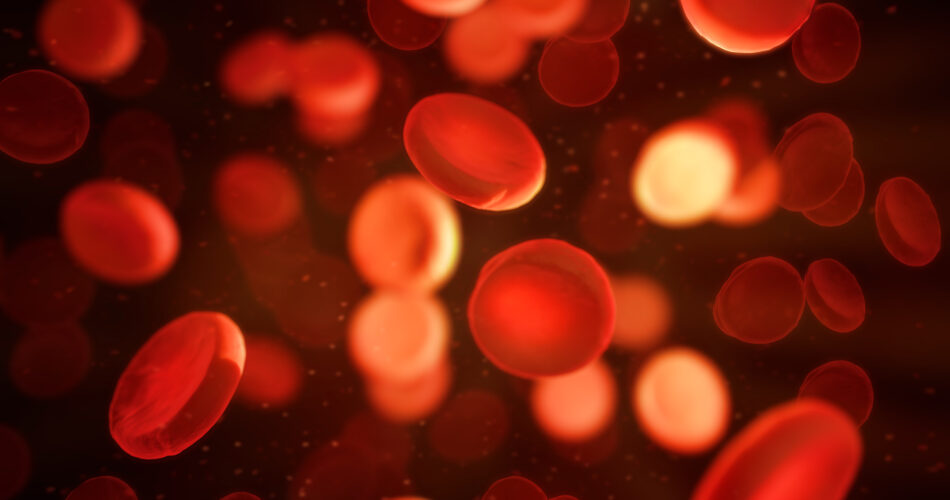 3D illustration of red blood cells