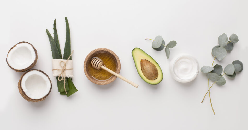 Medical plants used in alternative cosmetology: aloe, honey, coconut and avocado, white background, panorama
