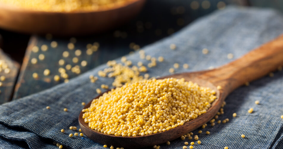 Raw Organic Healthy Millet in a Spoon